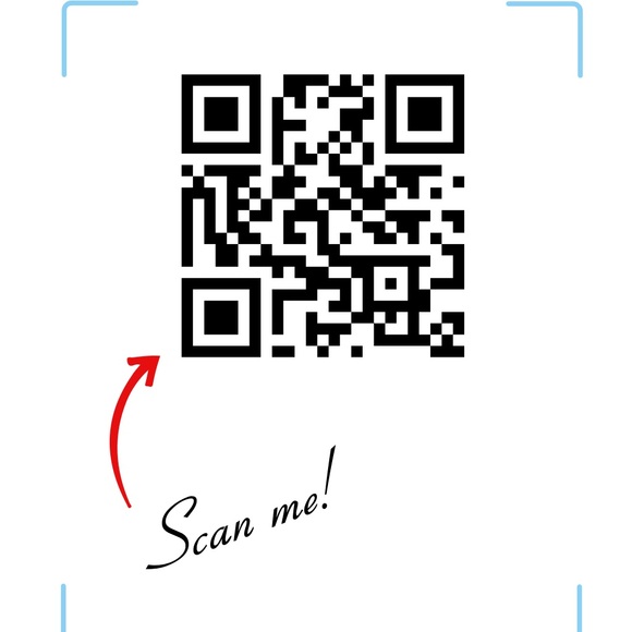 Live Show - Picture 4 of 4